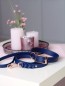 Preview: biothane halsband und leine blau stylisch