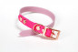 Preview: Halsband rosa pink kleine Hunde