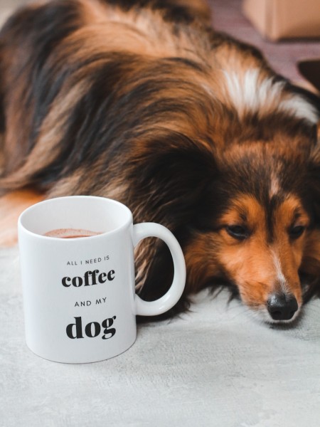 Tasse *All I need is Coffee and My Dog*